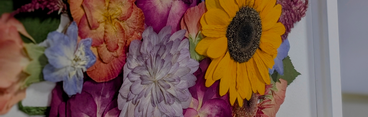 cadre fleurs pressées