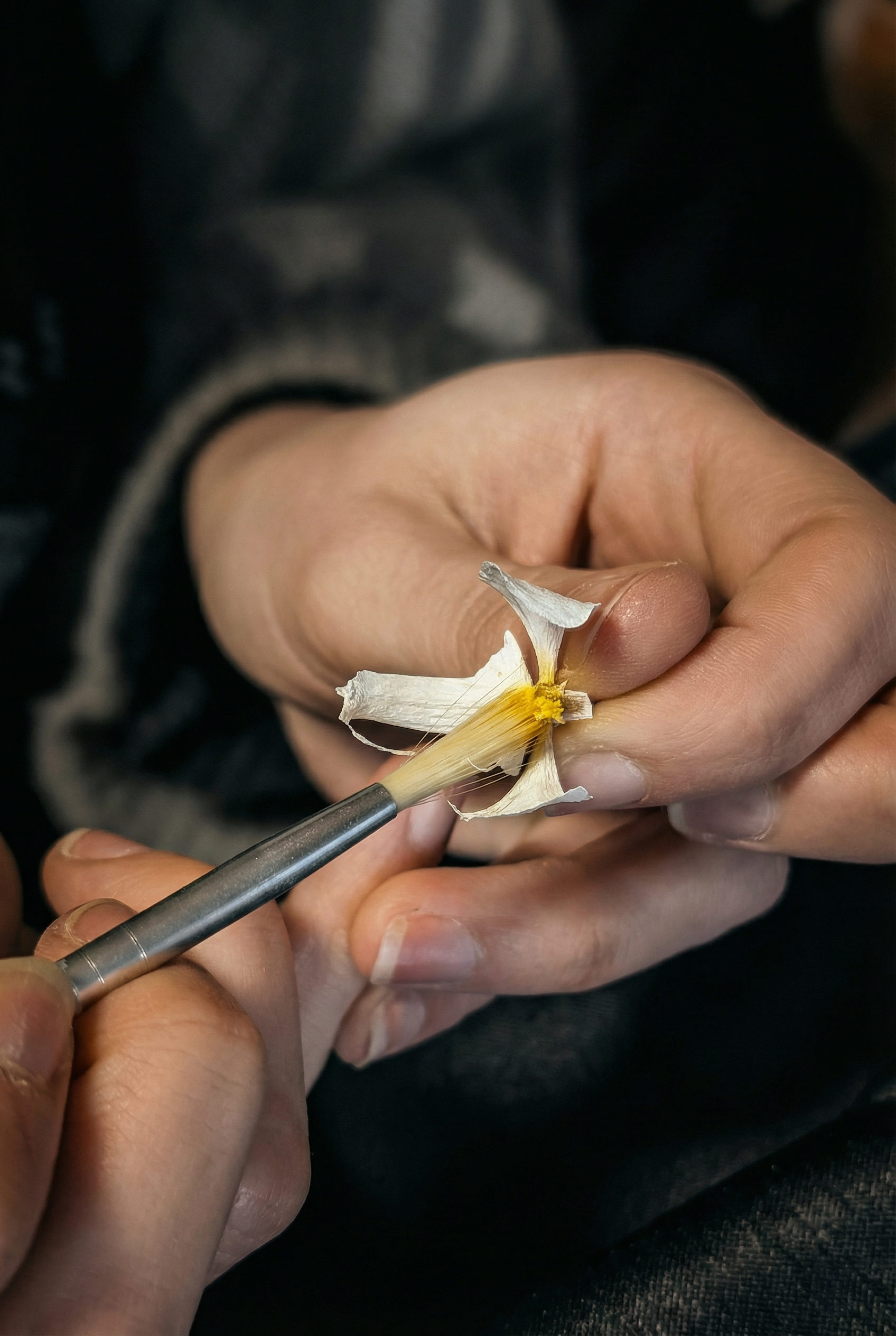 Artisan restauration fleurs conservation bouquet atelier Les Joyaux Purs Alsace